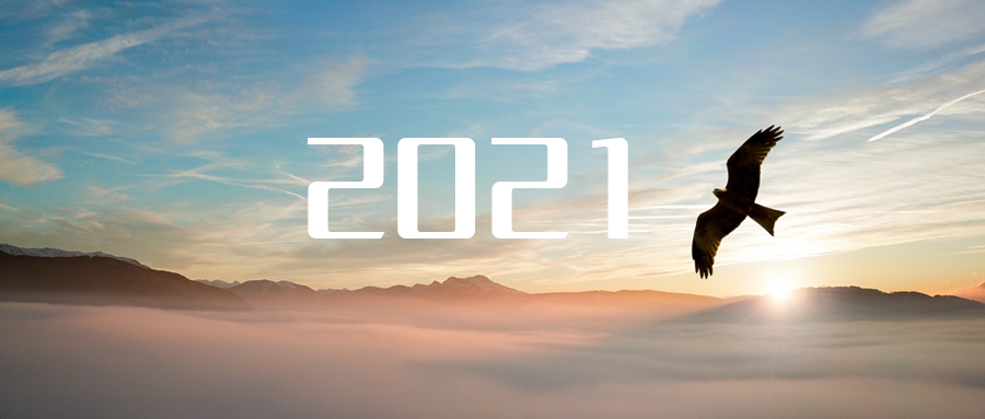 乘“峰”而上，智“盈”未来 ——2021年K8凯发旗舰环境高级资深副总裁新年开工动员